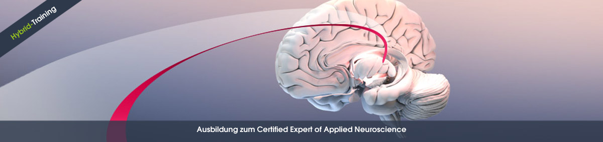 Neuroscience-Experte werden