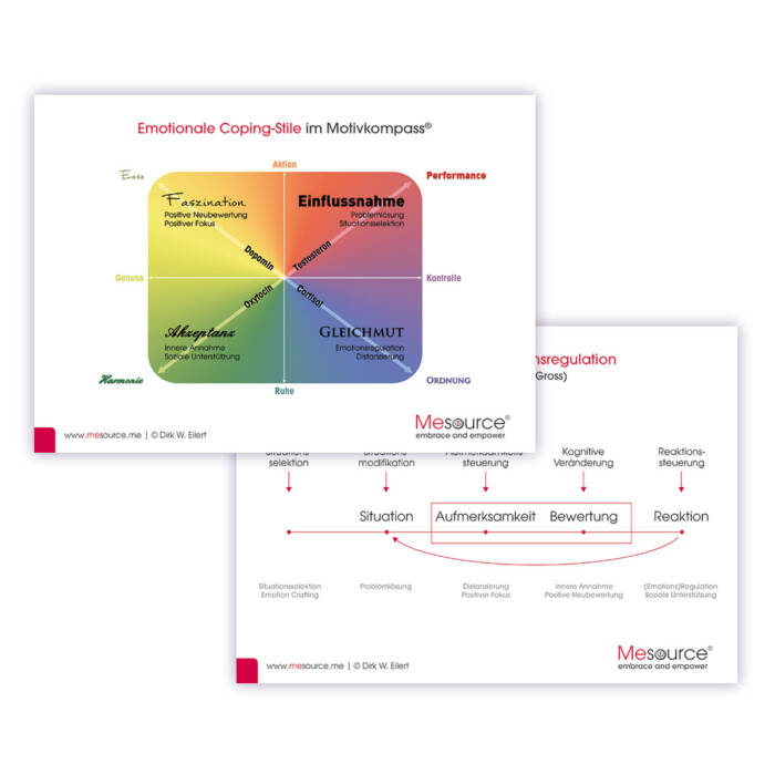 Motivkompass Copingstile / Prozessmodell der Emotionsregulation