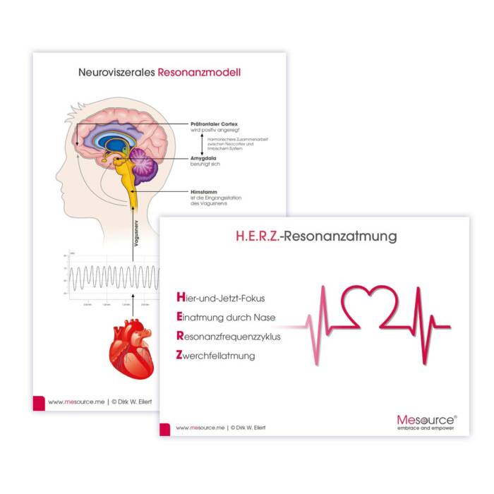 H.E.R.Z.-Resonanzatmung / Neuroviszerales Resonanzmodell